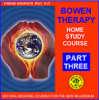 Bowen Therapy - home study CD course 3